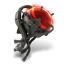 decayed.png