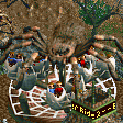 gintspdr.png