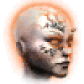 wil2.png