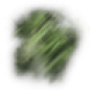 exotic.png