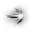ki.png