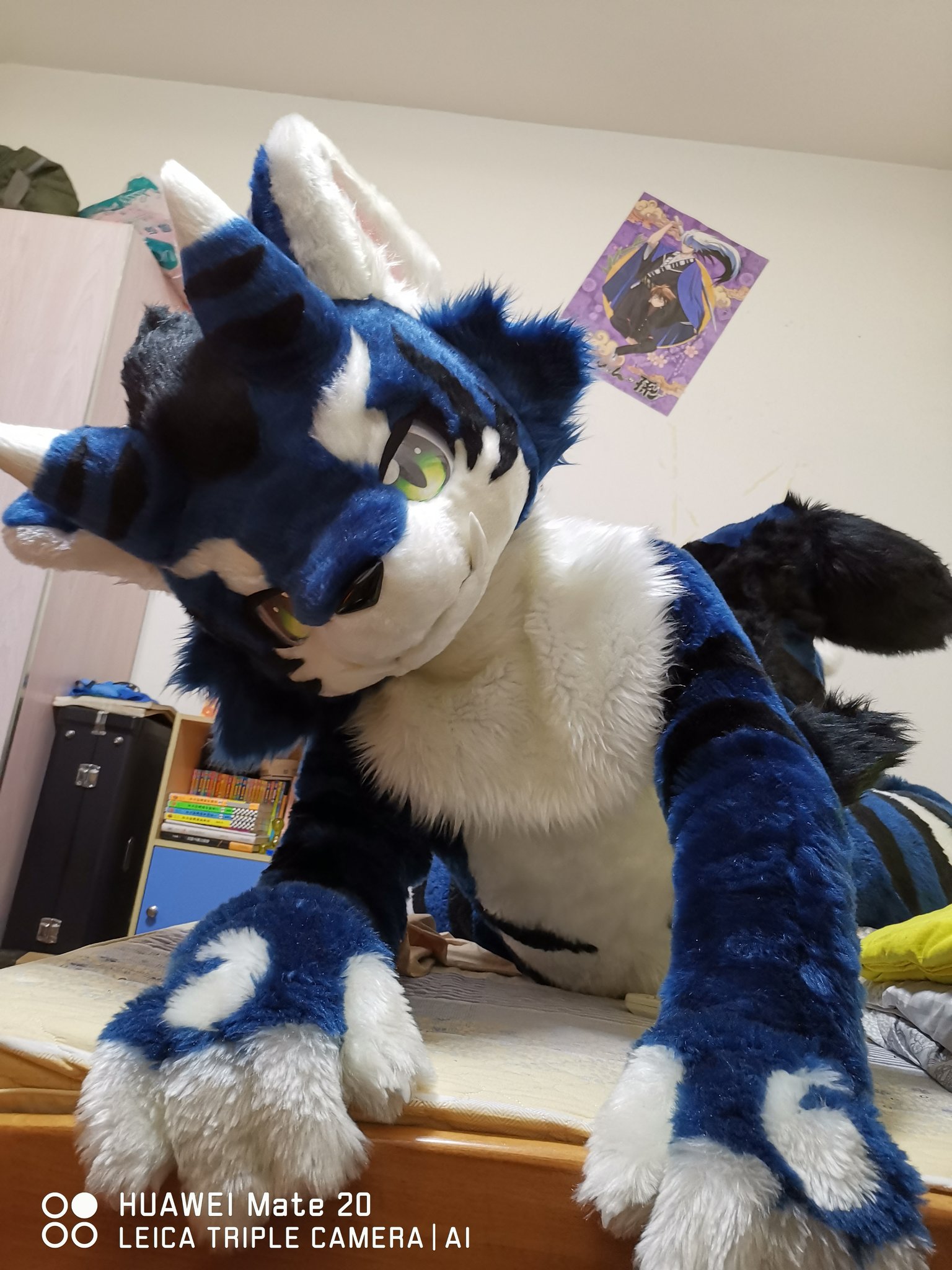 fursuit:d1saigpu8aaawvn.jpg