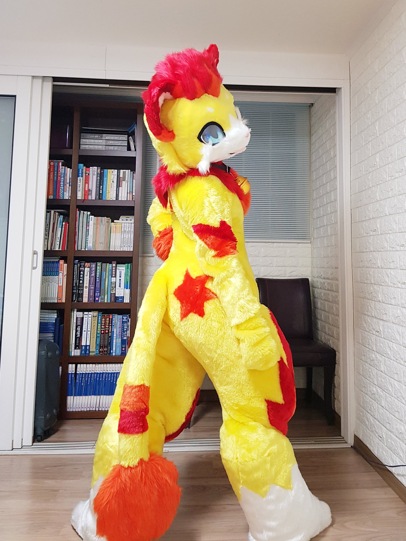 fursuit:d2t_kesukaakupo.jpg