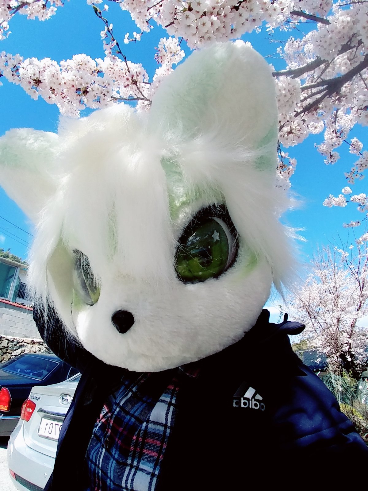 fursuit:d5r8aufuuaaszdg.jpg