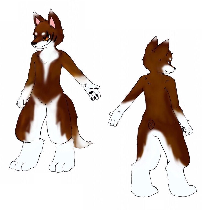 fursuit:dh6nhc6vaayet4h.jpg