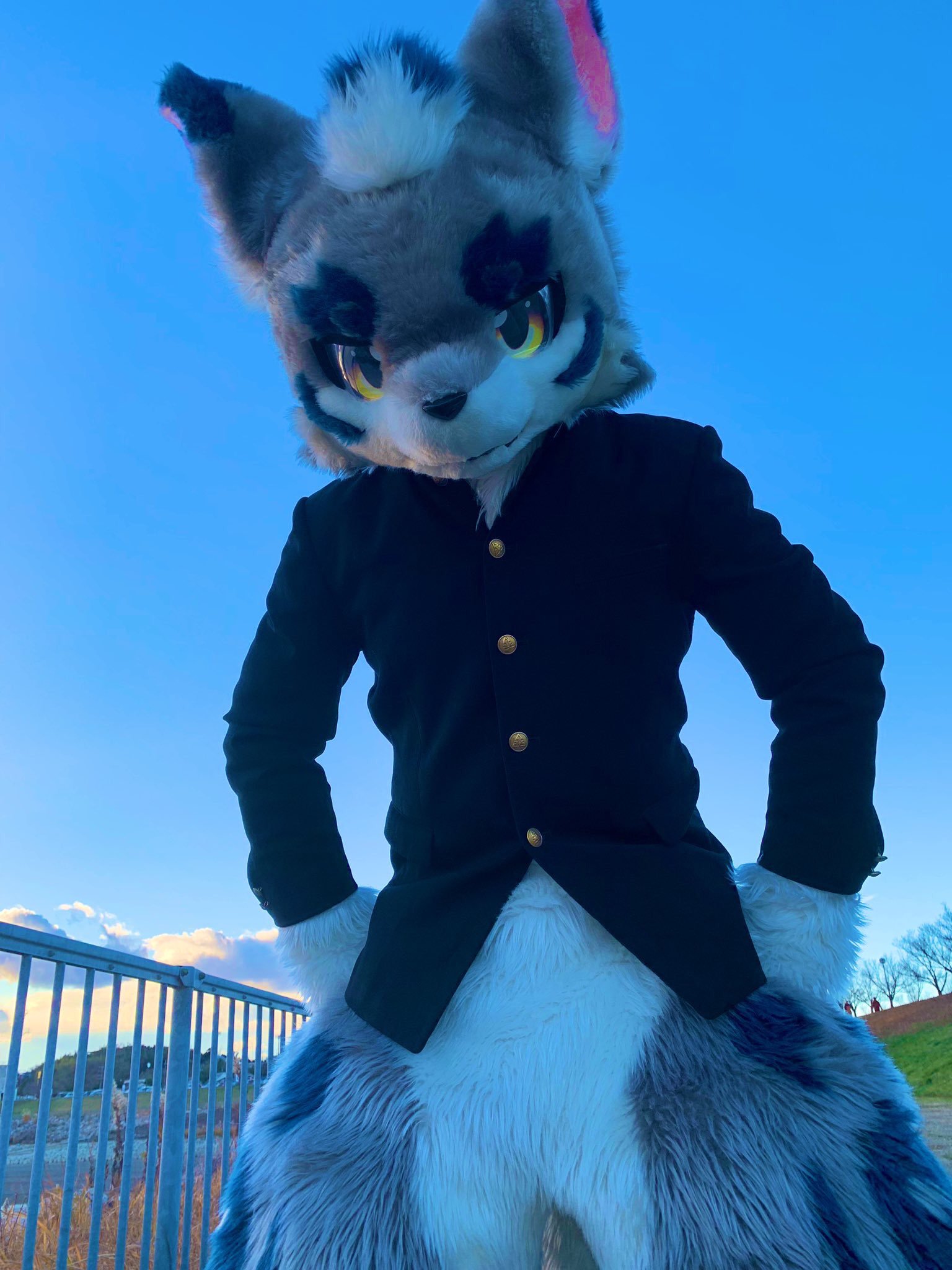 fursuit:dv6zkcqvsaazcop.jpg