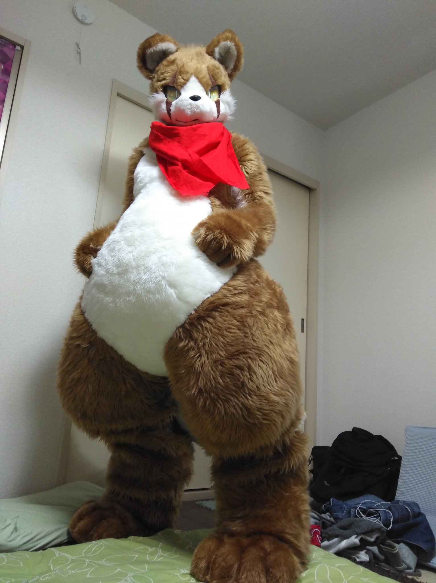fursuit:dvkf3kyuqaaj5vb.jpg