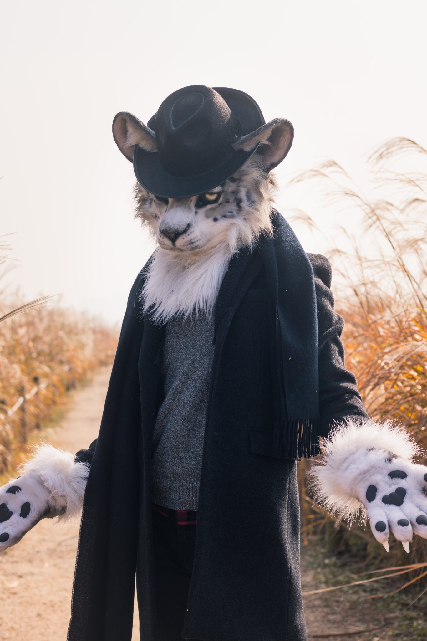 fursuit:dz7l3p6u8aiwblu.jpg