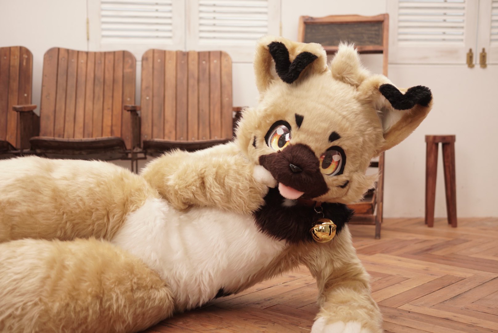 fursuit:dz9gfzfu0aebdu6.jpg